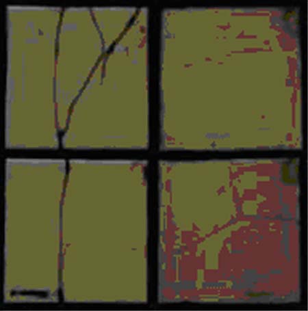 LI5
